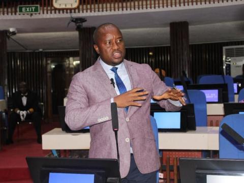 Deputy Chief Whip-Alusine Kanneh Deputy Chief Whip-Alusine Kanneh