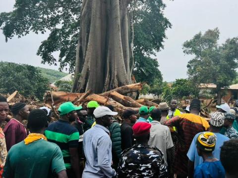 Site of the Koinadugu Cotten tree disaster Site of the Koinadugu Cotten tree disaster