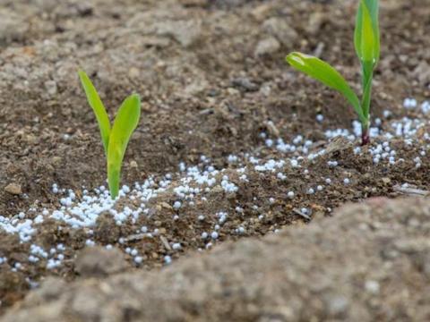 Slow Release fertilizer Slow Release fertilizer