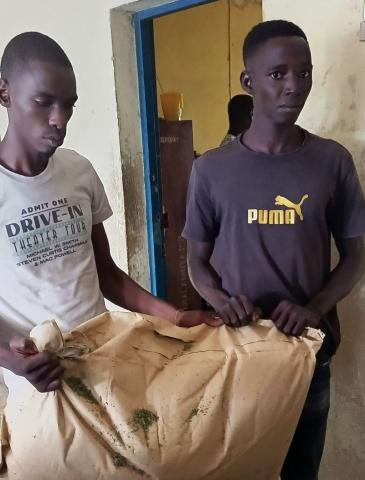 The two suspects arrested with Kush at Gbalamuya border The two suspects arrested with Kush at Gbalamuya border