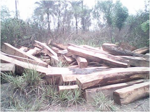 Logs in Kono Logs in Kono