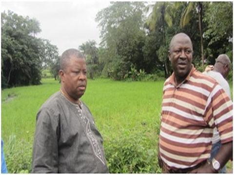Dr. Sam Sesay & DFPP Project Coordinator, Peter Bundu inspecting a soon-to-be-rehabilitated swamp